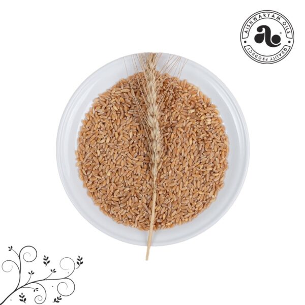 Punjab Wheat 1Kg