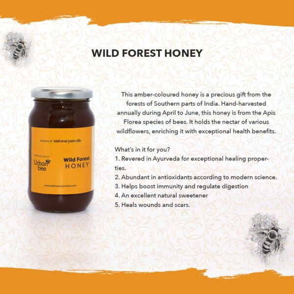Wild Forest Honey 500g